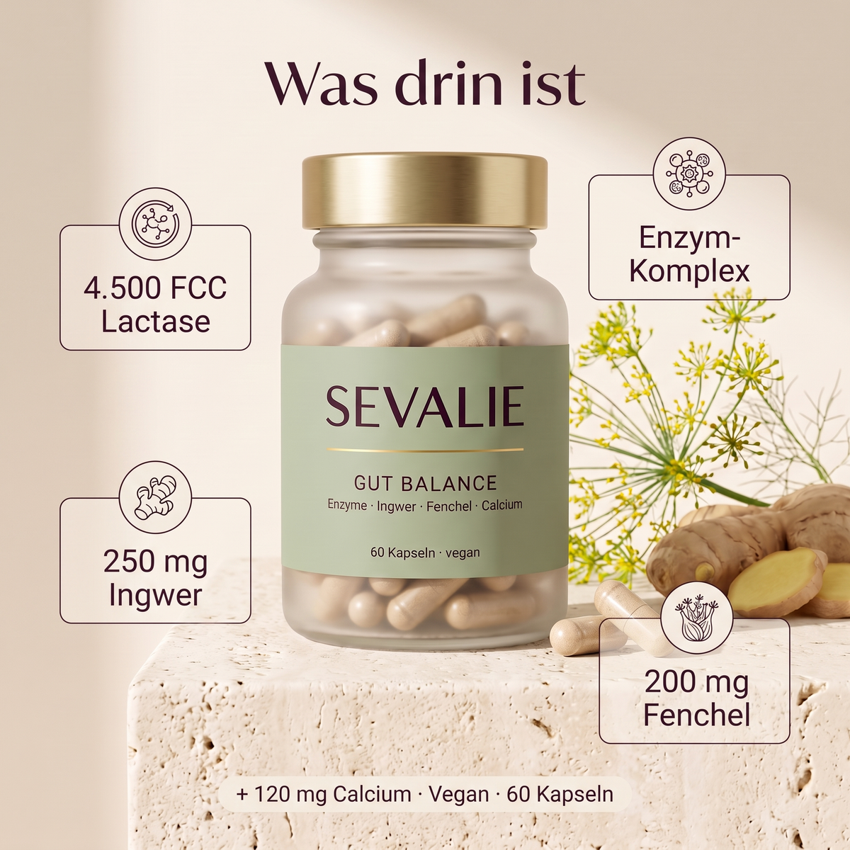 Was drin ist – Gut Balance Inhaltsstoffe